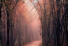 leyu乐鱼体育-时空球门：当国足在德甲遭遇凯尔特人，出线密码竟在输赢之外