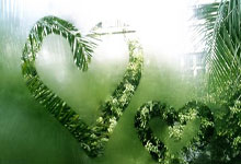 乐鱼官网-中超巅峰夜：曼城式海港VS詹姆斯式申花夺冠暗战引爆出线格局