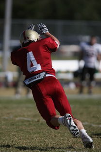 乐鱼官网-恩菲尔德冲击季军，年轻球员表现亮眼