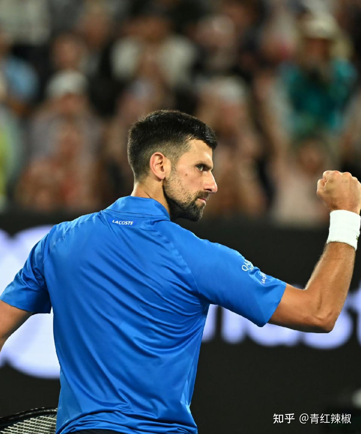 澳网横扫年终总决赛，德约科维奇带队取胜